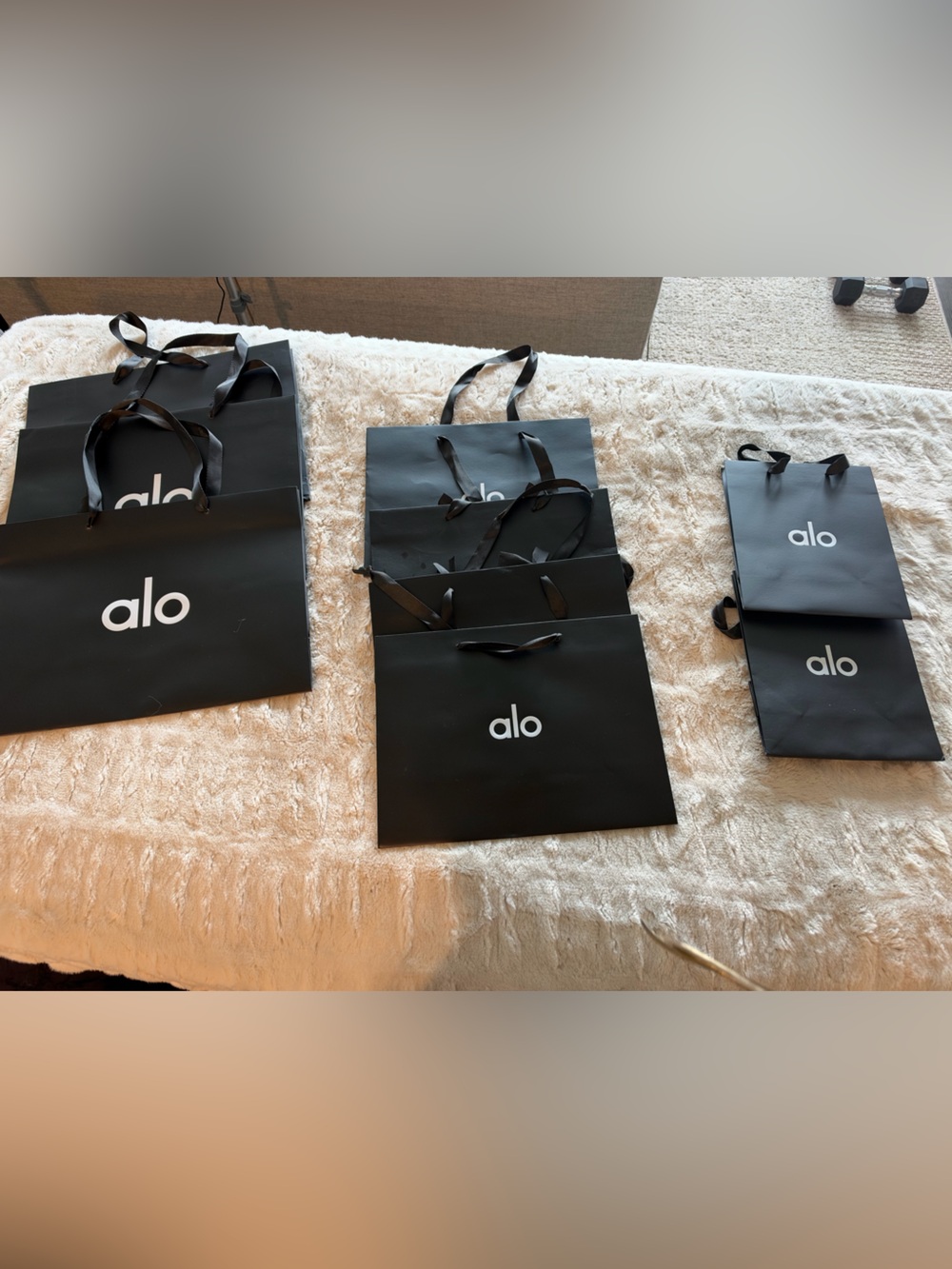 Alo shopping bags